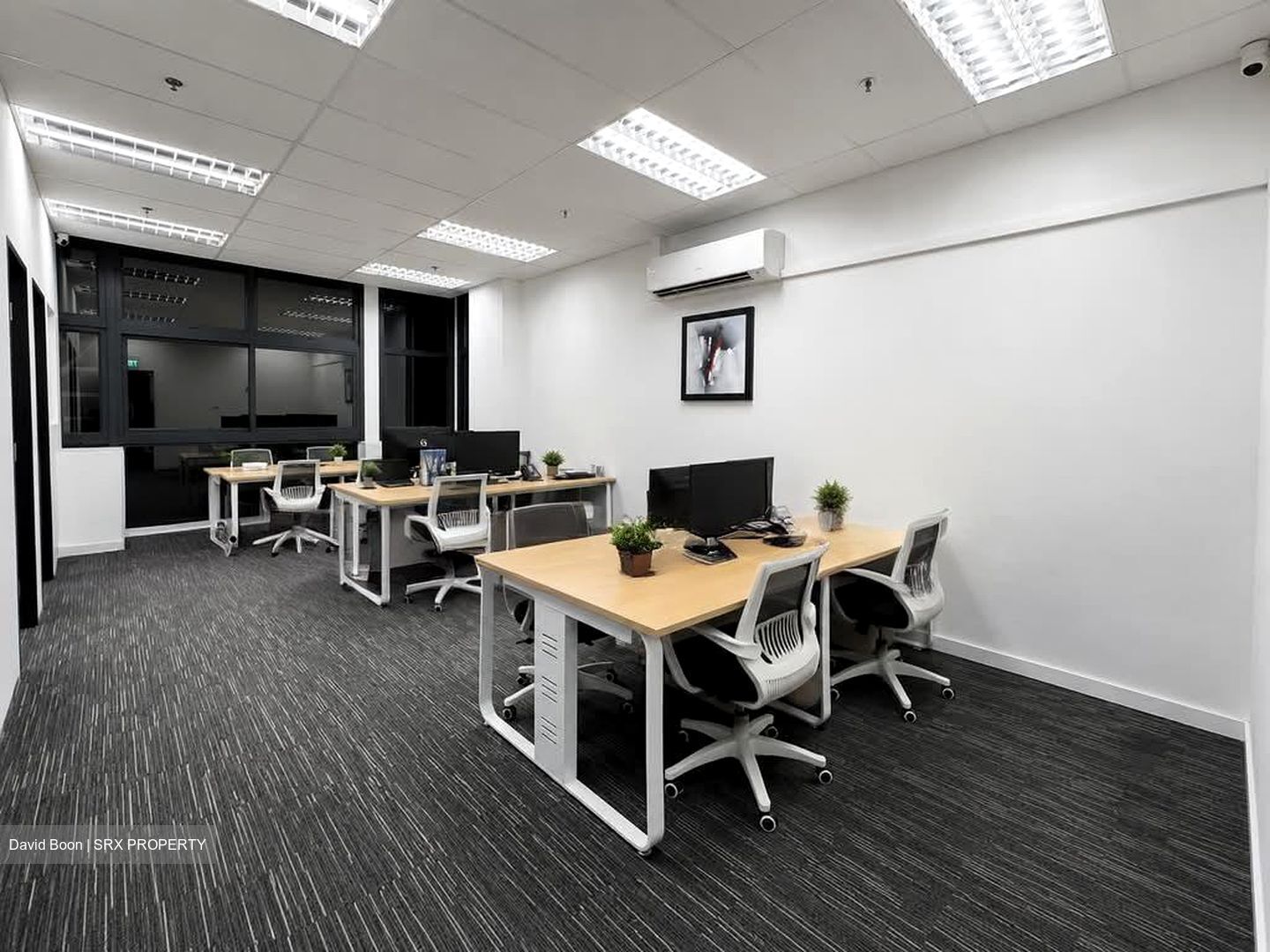 Primz Bizhub (D25), Factory #578523071